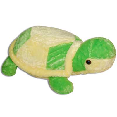 "Tortoise - code code002 - Click here to View more details about this Product